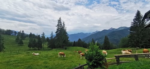 Zur Oberauerbrunstalm