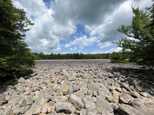 Hickory Run State Park Hiking Best 10 Trails In Hickory Run State Park | Alltrails