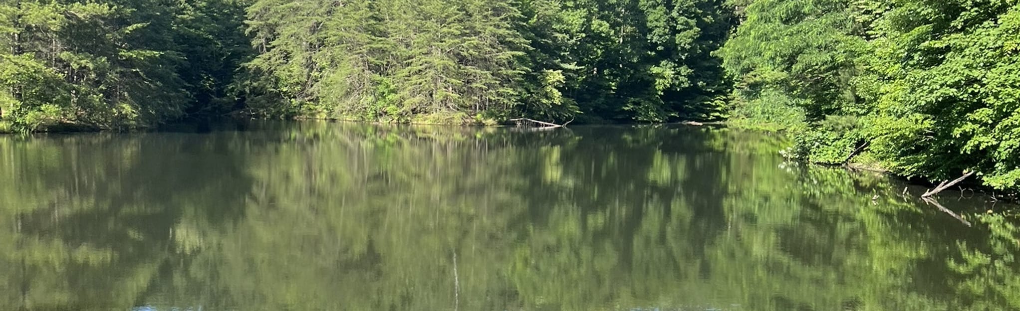 Horine Reservation Red Trail, Kentucky 1,775 Reviews, Map AllTrails