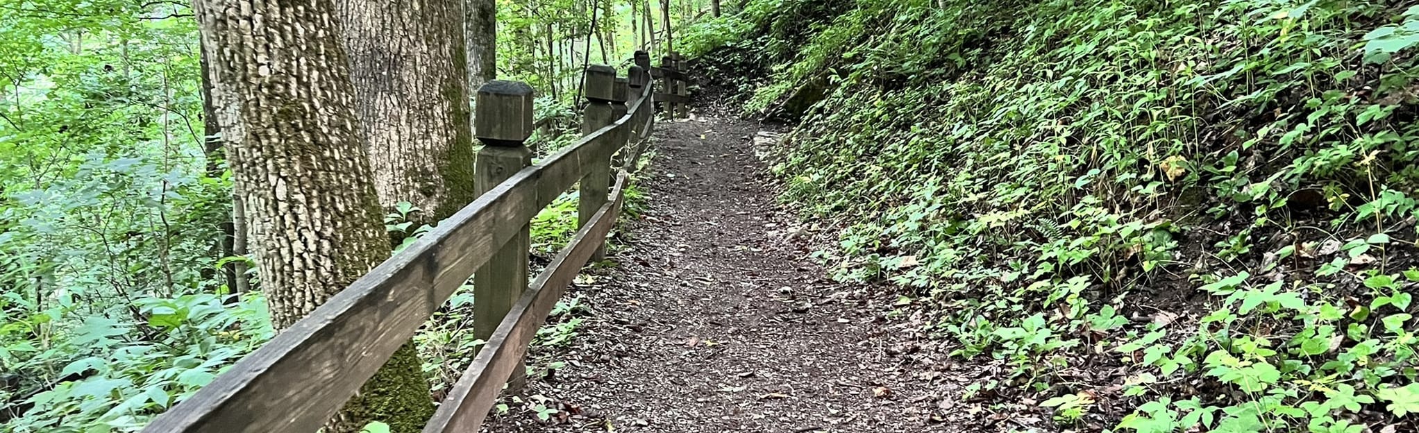 Tunnel Hill and Carter Log Cabin Trail 671 foto's Virginia Wandelen AllTrails