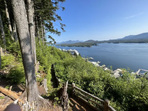 10 Best Trails and Hikes in Ketchikan | AllTrails