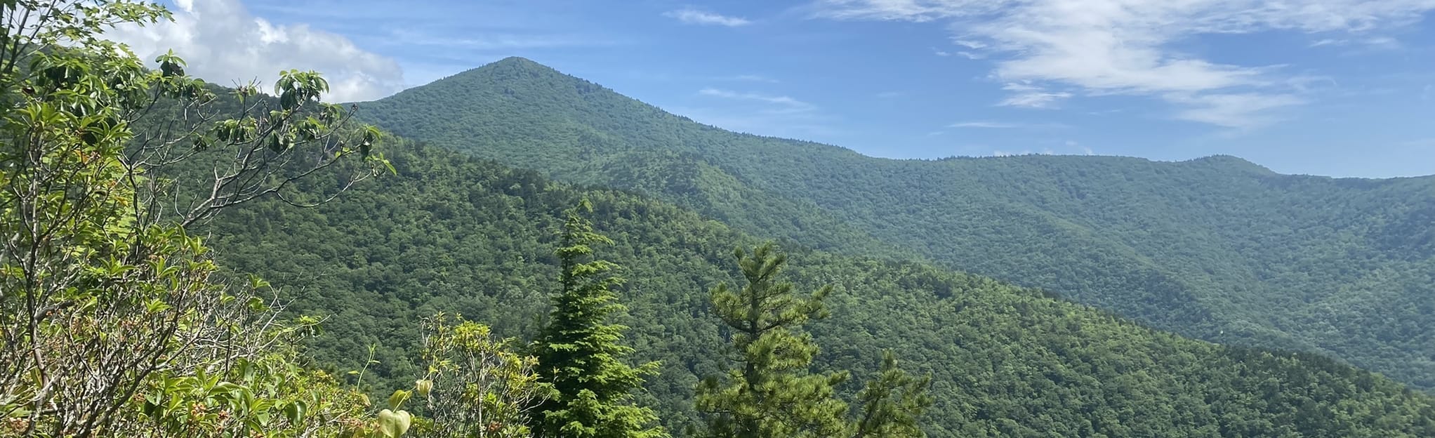 Pinnacle via Graybeard Mountain Trail and Old Mitchell Toll Road, North Carolina 122 Reviews