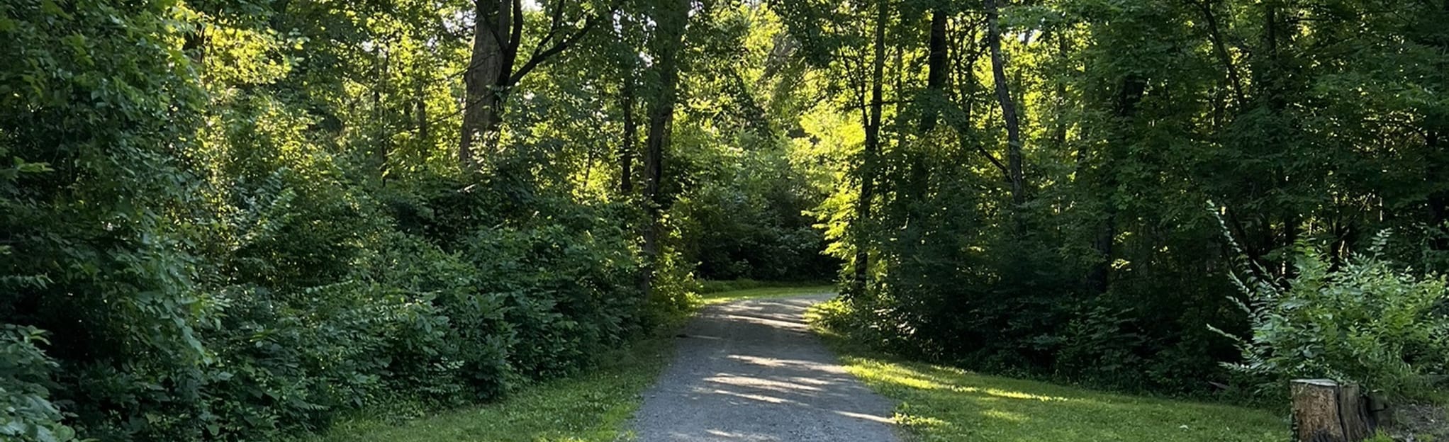 Frying Pan Park Trail, 128 Fotos Virginia AllTrails