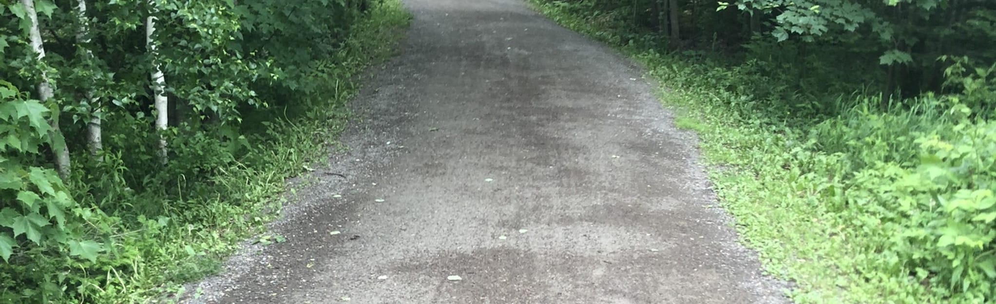 Sentier de Dieppe Trail 123 Reviews, Map New Brunswick, Canada