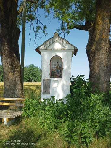 Von Langenneufnach um Grimoldsried und Münster