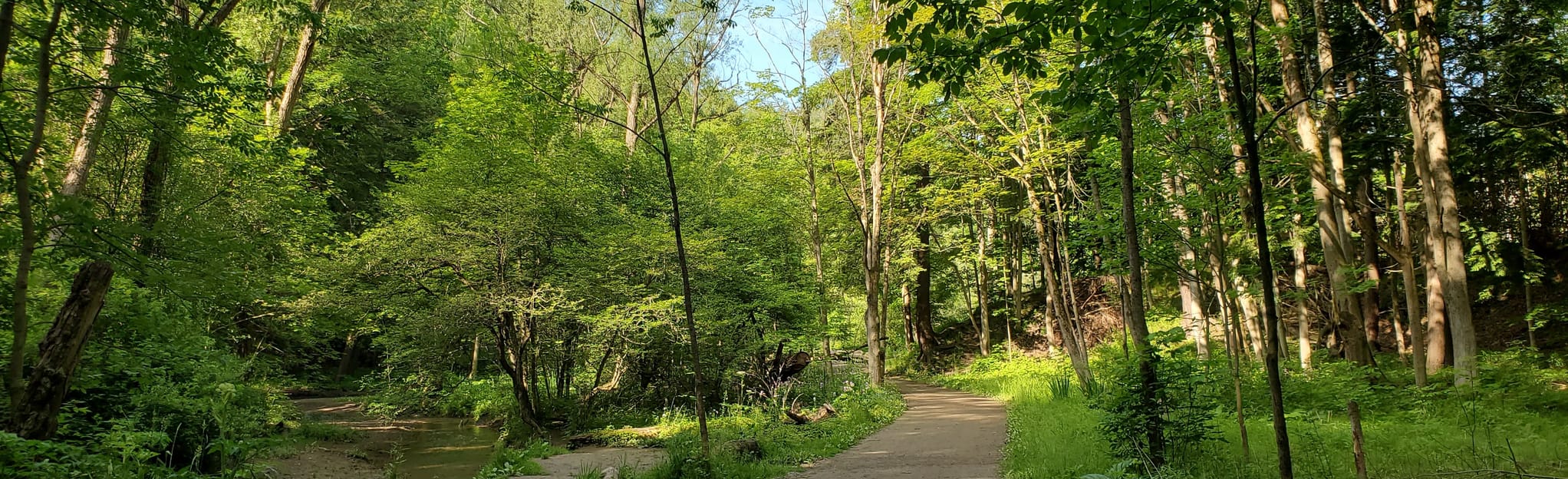 Dundas Valley Heritage Trail 260 Reviews, Map Ontario, Canada AllTrails