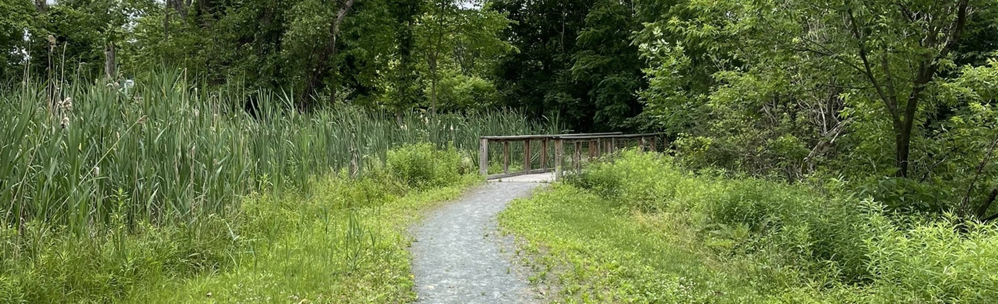 Stillwater Rail Trail, New York 120 Reviews, Map AllTrails