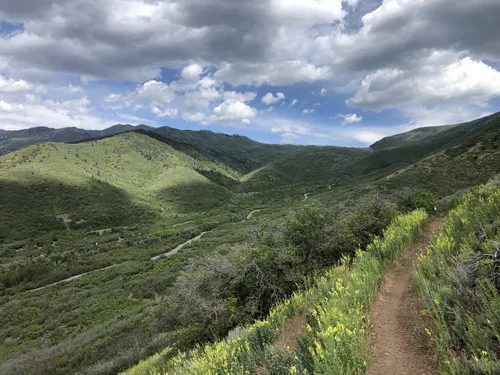 Wasatch mountain on sale state park hiking