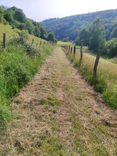 Paderborner Stadtwald ab Altenbeken