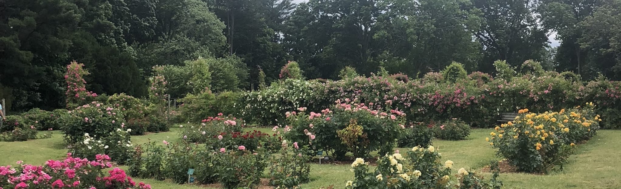 Elizabeth Park Loop: 284 Reviews, Map - Connecticut | AllTrails