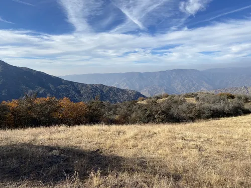 Sequoia national 2025 forest dog trails