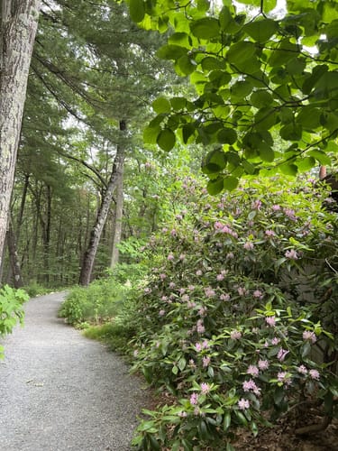 garden in the woods framingham massachusetts