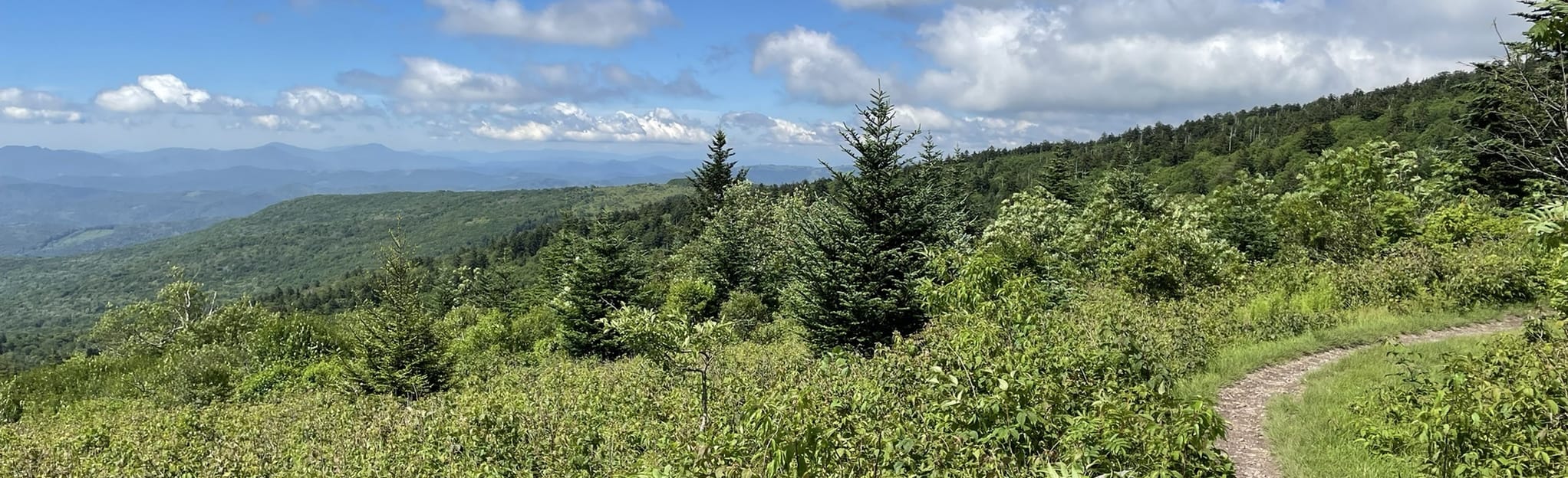 Appalachian Trail US58 Summit Cut to Mt. Rogers, Virginia 34