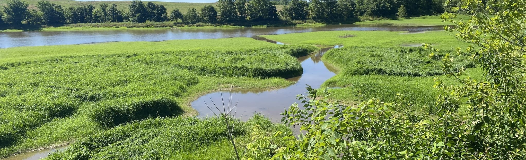 McCracken County Nature Trail, Kentucky 89 Reviews, Map AllTrails