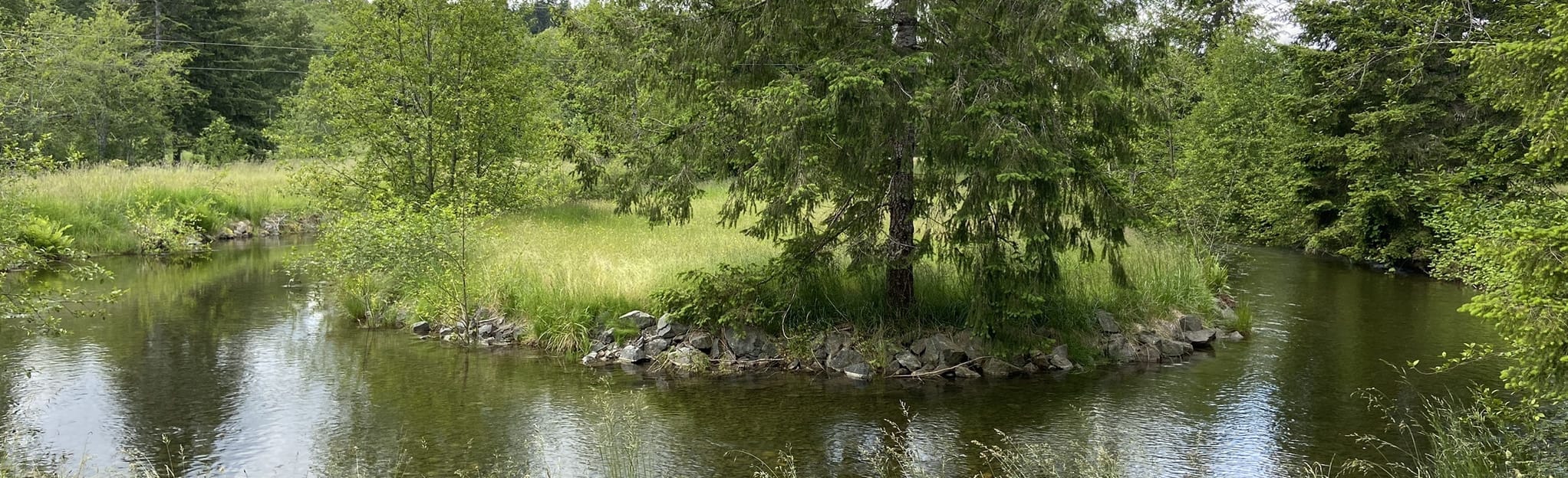 Little Qualicum Fish Hatchery 31 Fotos British Columbia, Kanada AllTrails