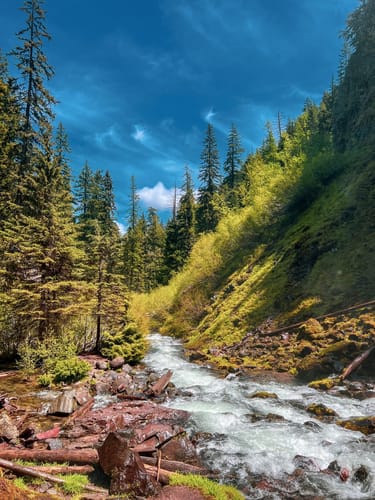 Best 10 Trails In Mount Hood National Forest Alltrails