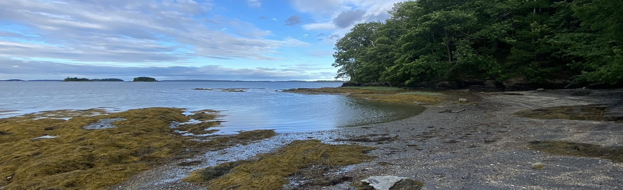 Mackworth Island Hiking Trail 960 Reviews, Map Maine AllTrails