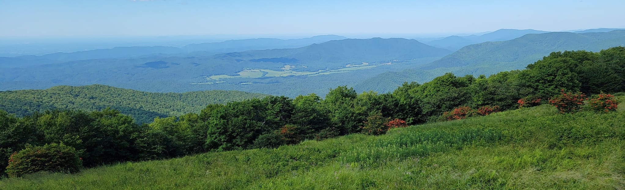 Gregory's Little Bald Trail 98 Reviews, Map Tennessee AllTrails