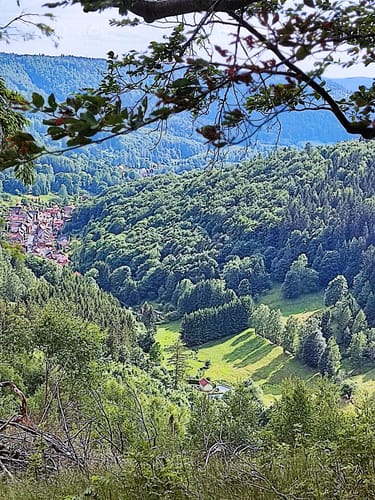 Zum Unteren Geiersberg
