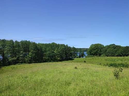 Um den Bistensee