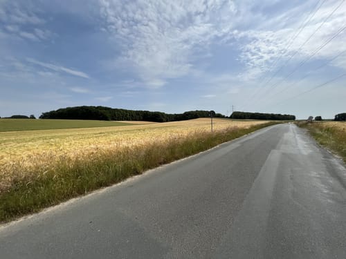 Permanente RTF des RRG Osnabrück: Durch Moore und Wiehengebirge