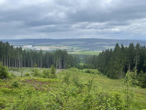 Ölmühlentour (Traumschleife)