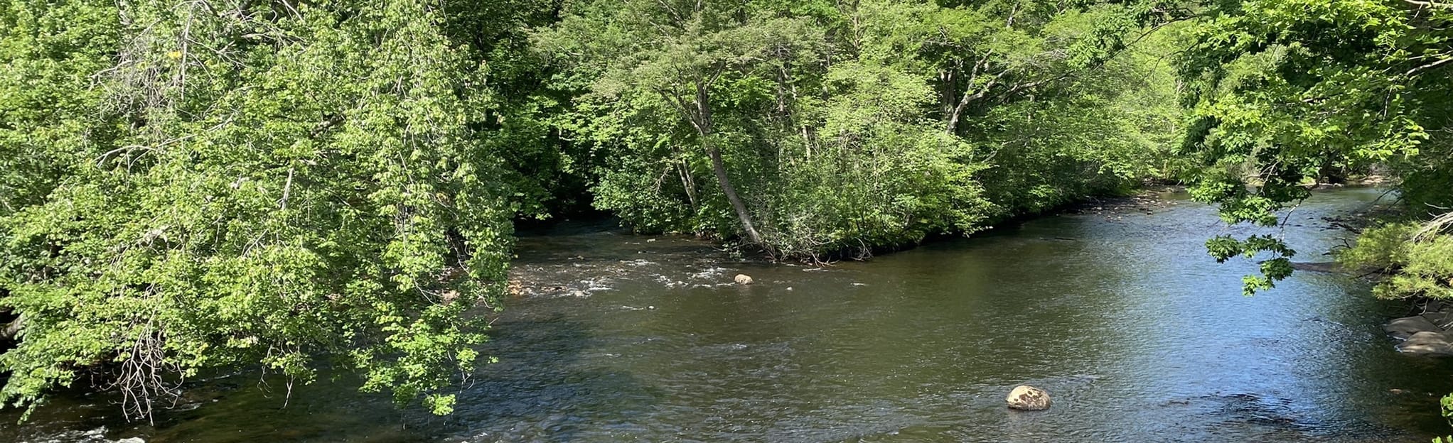Piscataquog River Falls, Goffstown Rail Trail and River Trail East Loop