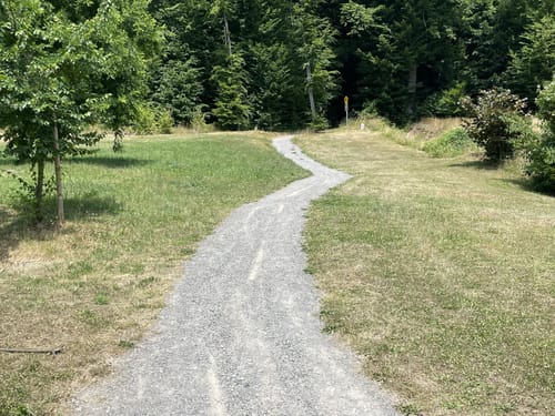 Königsweg (Premiumwanderweg)