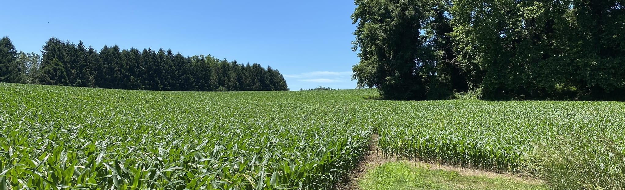 Octoraro Trail Loop Map, Guide Pennsylvania AllTrails