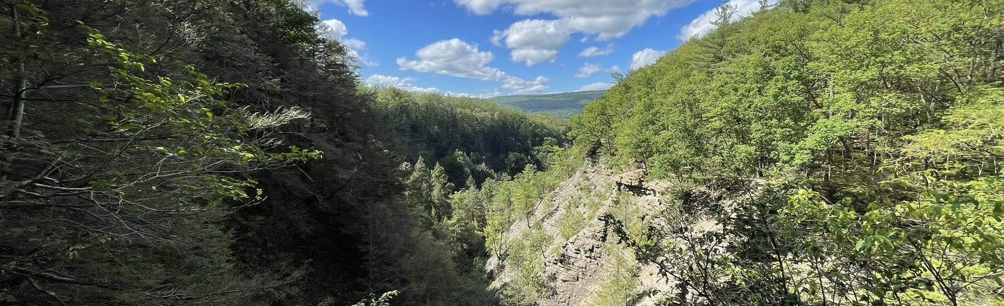 Conklin Gully 12 Falls Trail, New York 929 Reviews, Map AllTrails