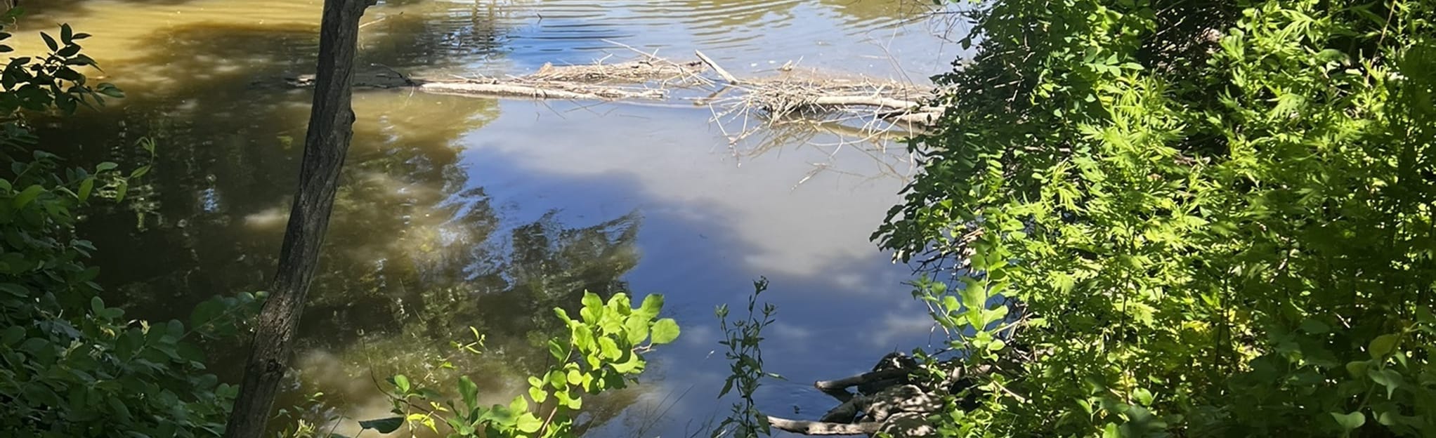 Oscawana Park Trail 33 Reviews, Map New York AllTrails