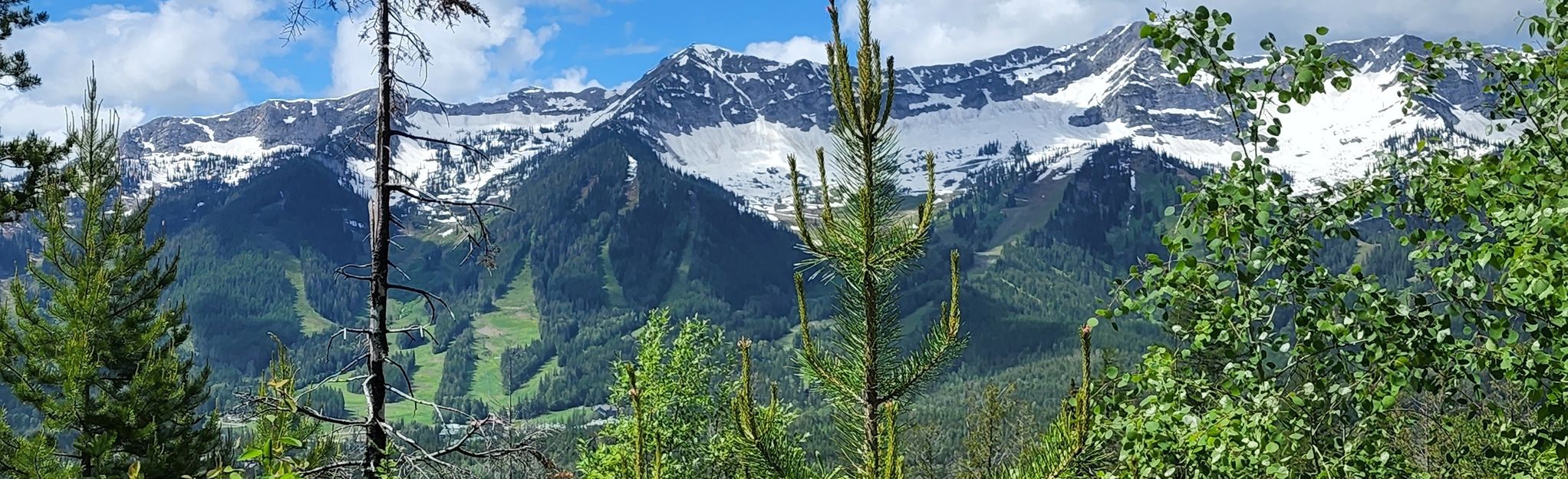 Montane Blue Loop - British Columbia, Canada | AllTrails