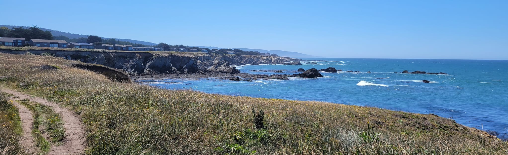 Coastal Bluff Trail Map, Guide California AllTrails