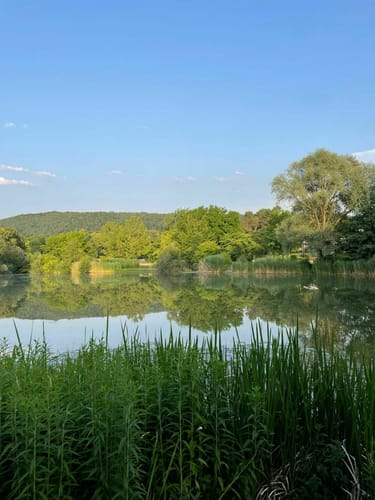 Durch den Grüttpark