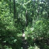 John Muir Blue Loop Trail, Wisconsin - 460 Reviews, Map | AllTrails