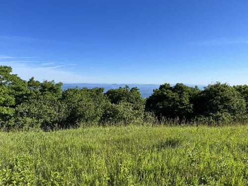 Best Hikes and Trails in Thunder Ridge Wilderness | AllTrails