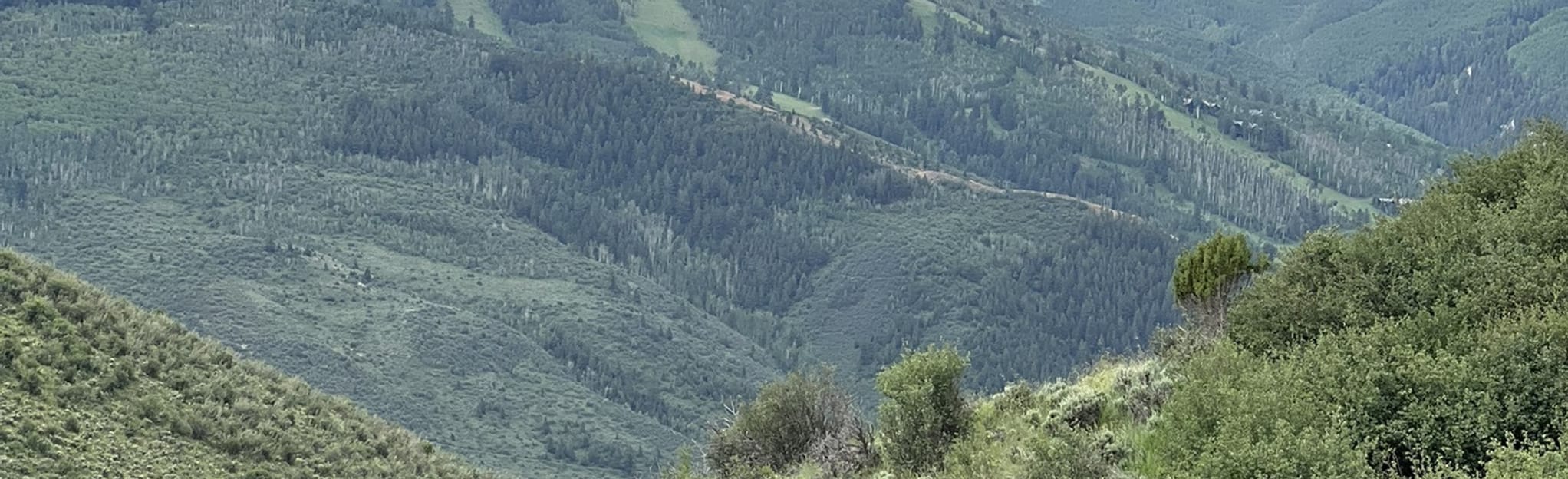 Wildridge Backyard Loop, Colorado 175 Reviews, Map AllTrails