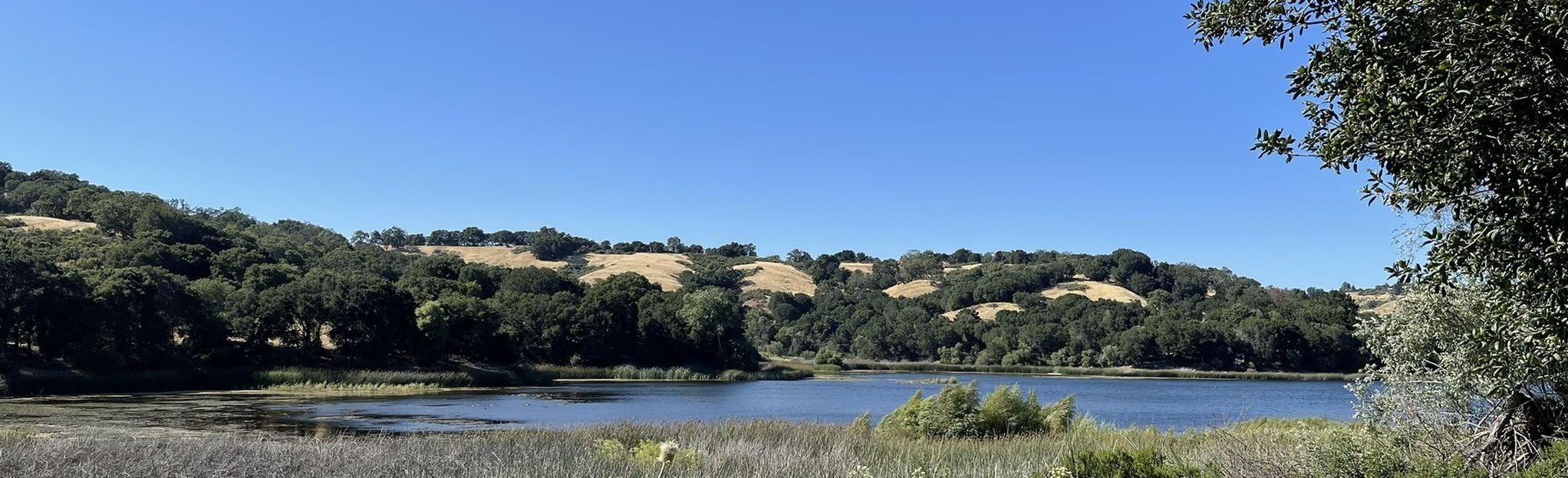 Lafayette Reservoir and Rim Trail Loop, California - 464 Reviews, Map ...