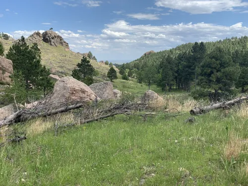 Best Horseback Riding Trails in Custer State Park | AllTrails