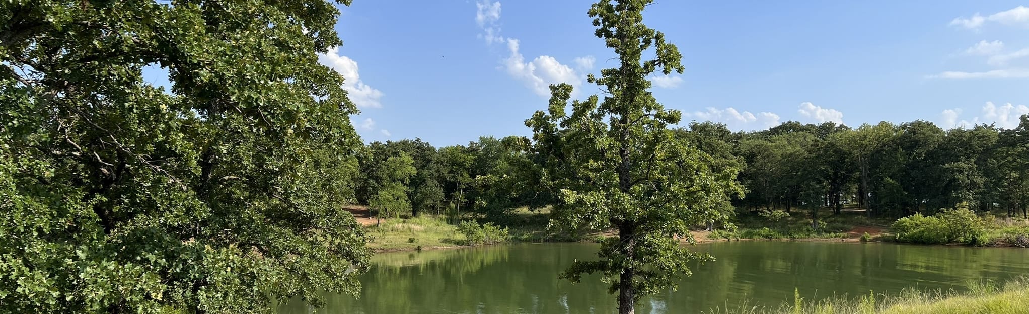 Randy Bell Scenic Trail 759 Reviews, Map Texas AllTrails