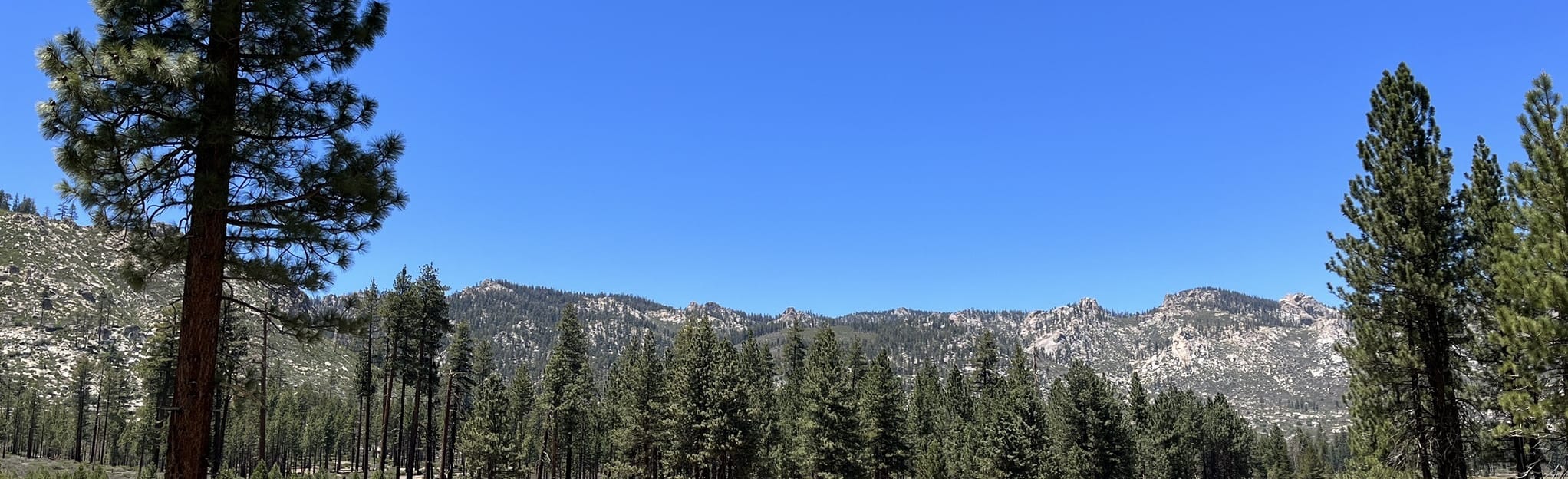Big Meadow to Manter Meadow 32 Reviews, Map California AllTrails
