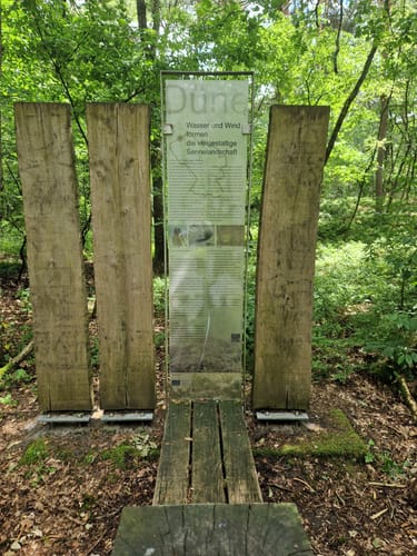 Dünenpfad Augustdorf