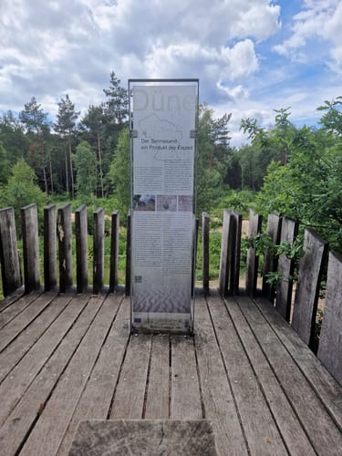 Dünenpfad Augustdorf
