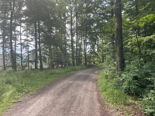 3-Türme-Weg (Premiumwanderweg)