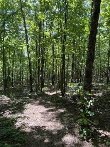 2023 Best Historic Site Trails in Greenbrier  AllTrails