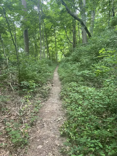 10 Best Trails and Hikes in Cincinnati | AllTrails