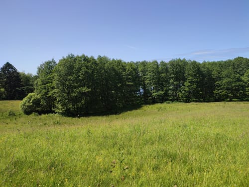 Um den Bistensee