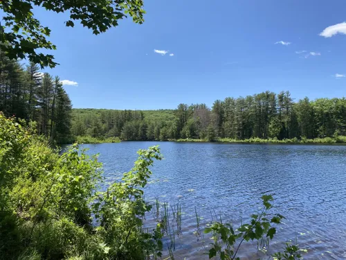 Best Hikes and Trails in Athol | AllTrails