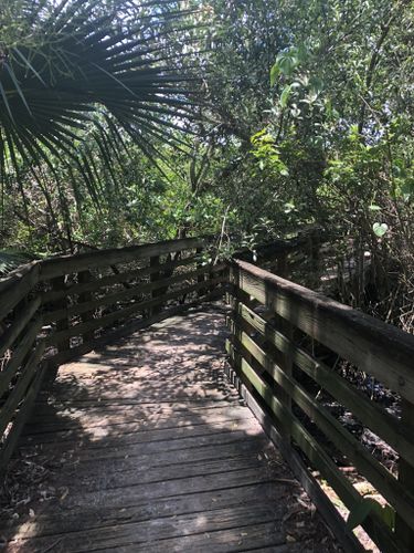 Best Hikes And Trails In Mckay Bay Nature Park 