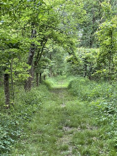 Escape to Tranquility: A Journey to Ohio's North Pond State Nature Preserve